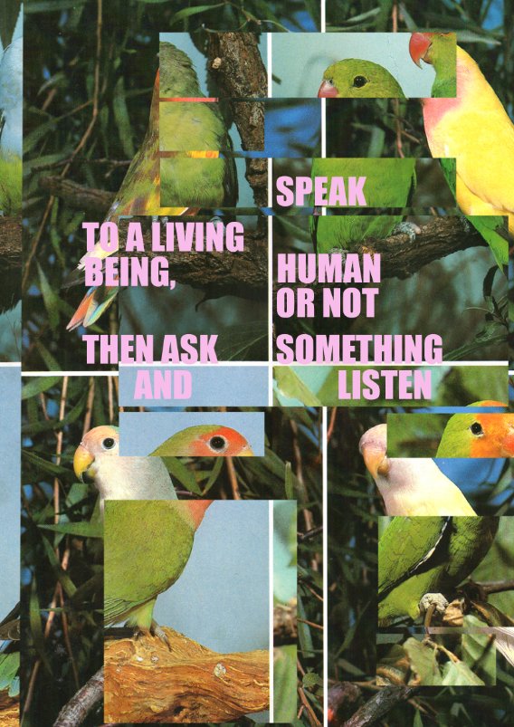 Speak, Human or Not